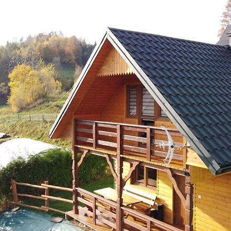 Domek Dzikusowka 1 Bieszczady Solina Polanczyk Zawoz Cisna Gorzanka المظهر الخارجي الصورة